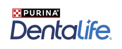 Dentalife logo