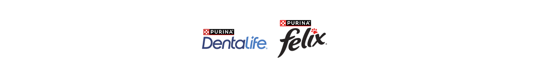 Dentalife / Felix