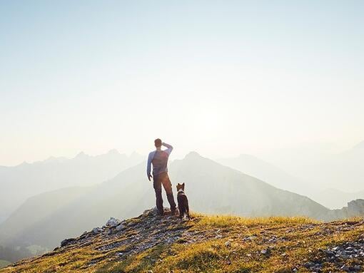 Naše predchádzajúce záväzky Purina in Society