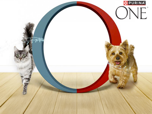 Purina ONE® 3týdenní test kočka a pes